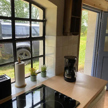 Zwischen Ostsee Und Haff Rerik