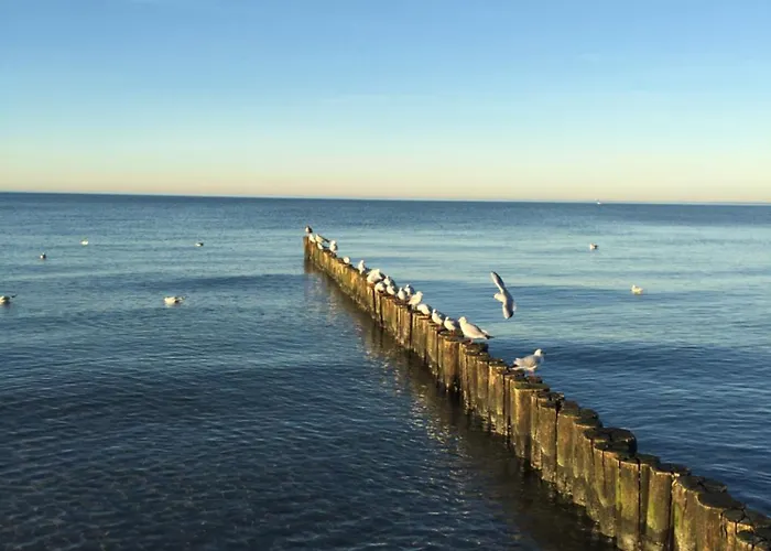 別荘 Zwischen Ostsee Und Haff *