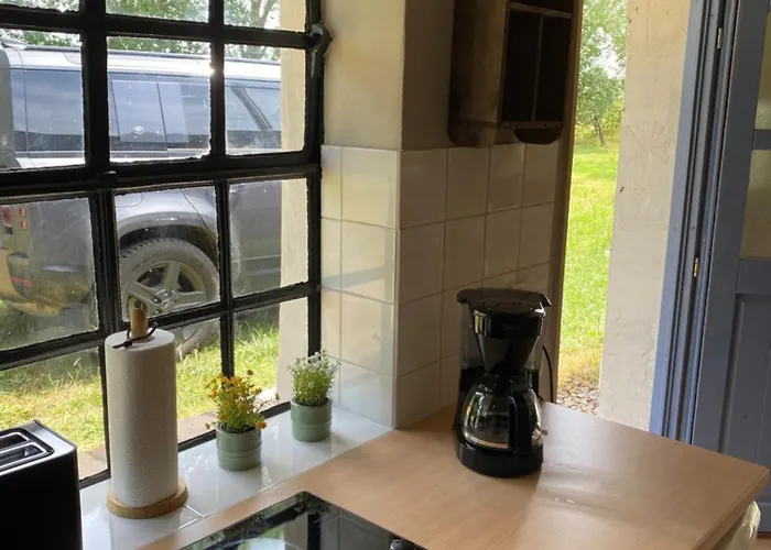 Zwischen Ostsee Und Haff レリク